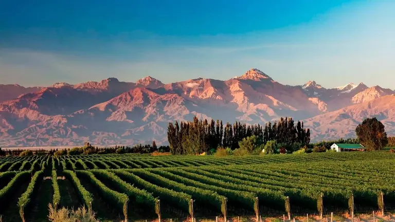 Mendoza y Caminos del vino